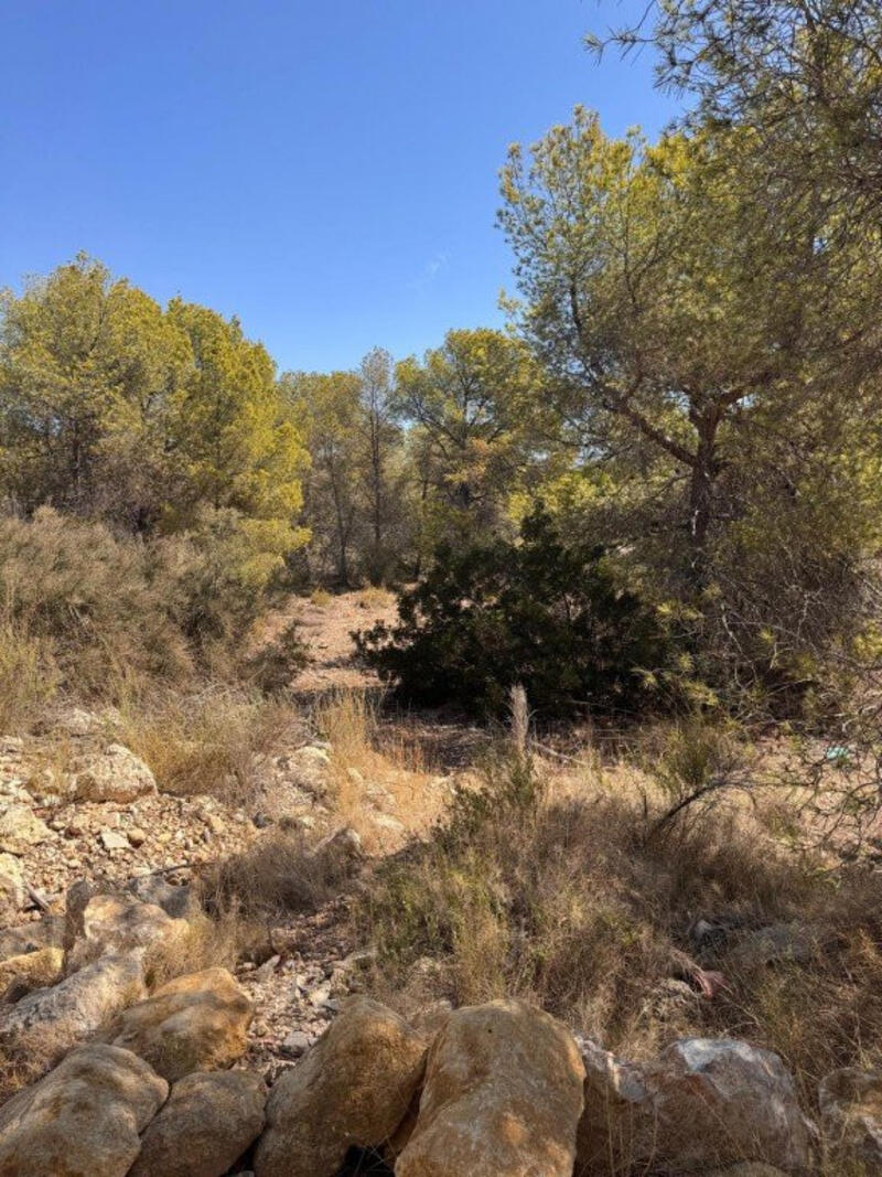Land for sale