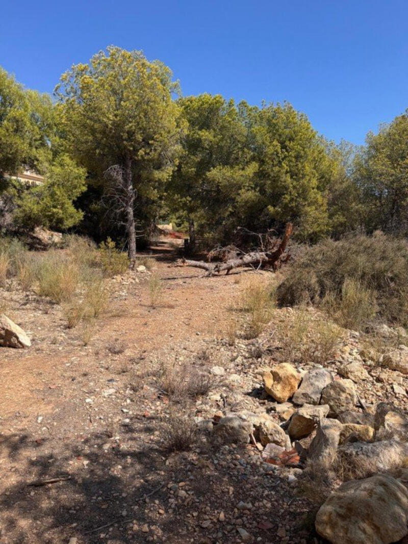 Land for sale