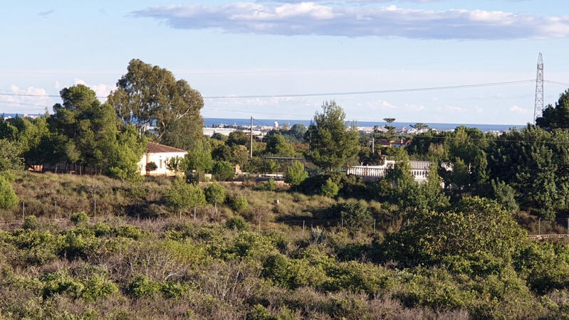 Land for sale