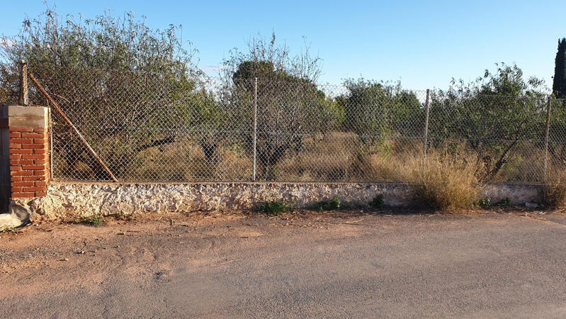 Land for sale