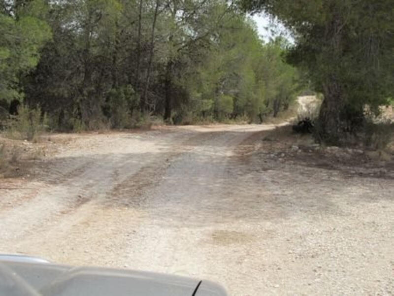 Land for sale