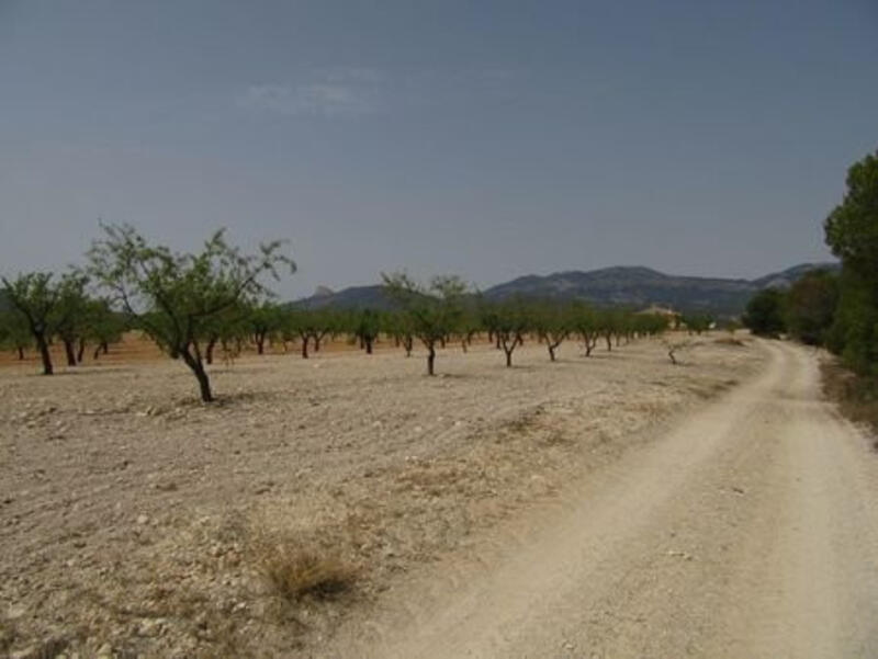 Land for sale