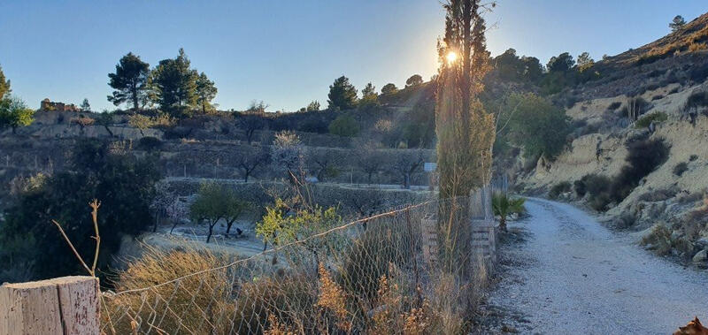 Land for sale