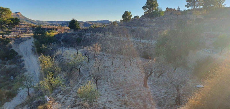 Land for sale