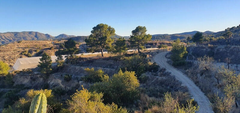 Land for sale