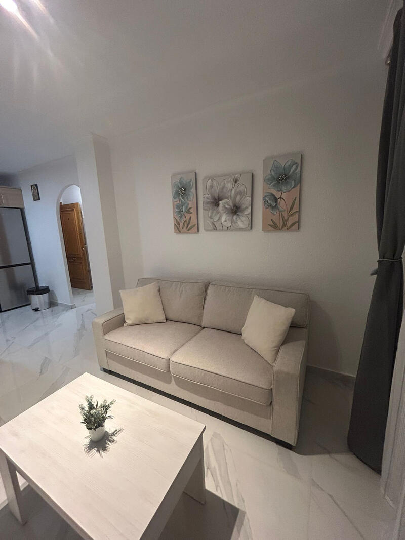 1 soveværelse Lejlighed til langtidsleje 1 soveværelse Lejlighed til langtidsleje