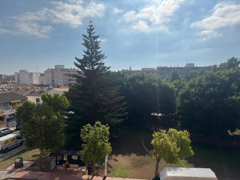 3 chambre Appartement à vendre