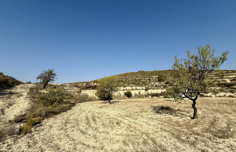 Land for sale