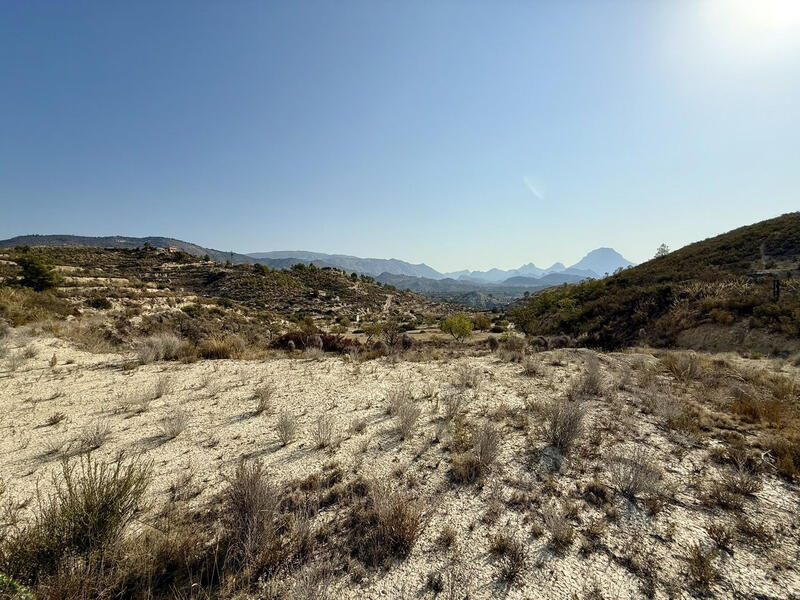 Land for sale