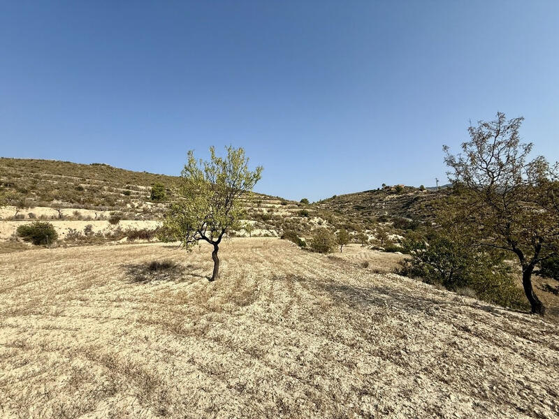 Land for sale