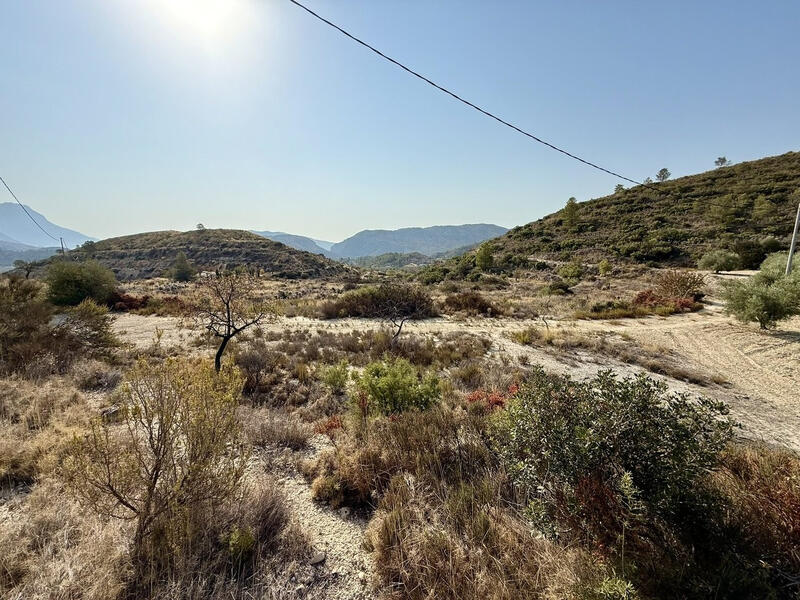 Land for sale