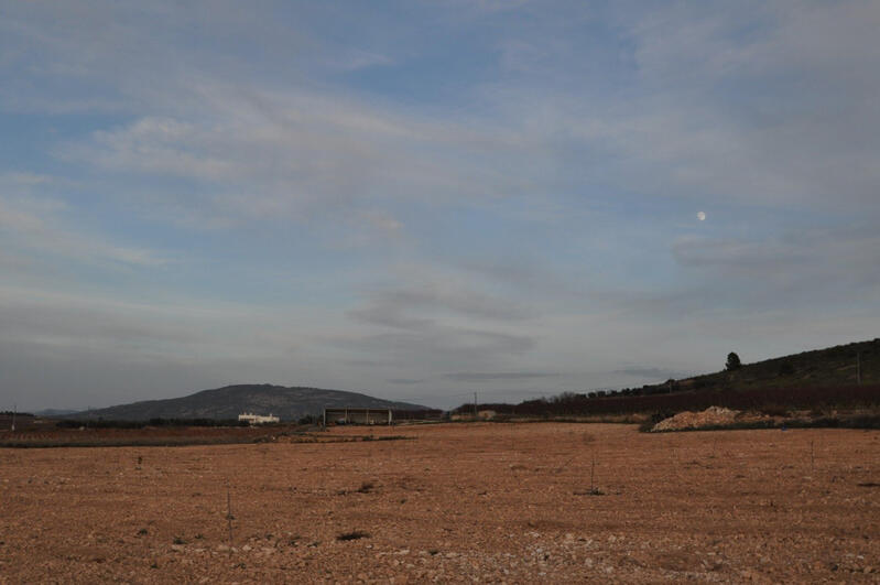 Terrain à vendre