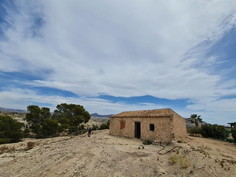 Autre à vendre