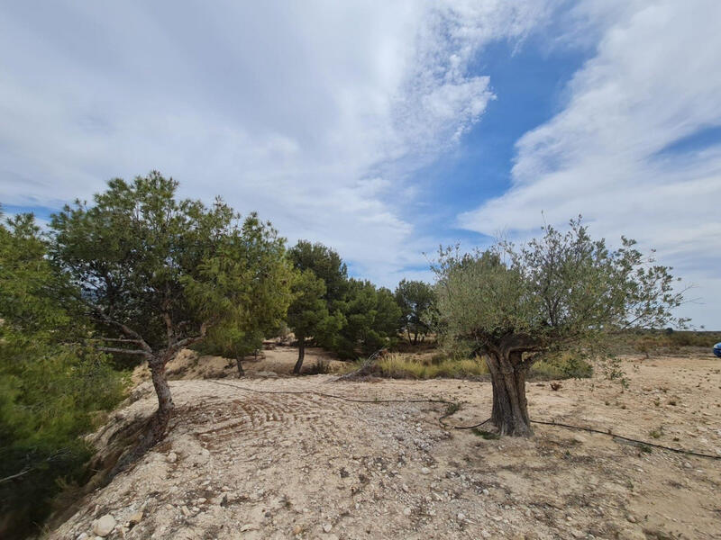 Autre à vendre