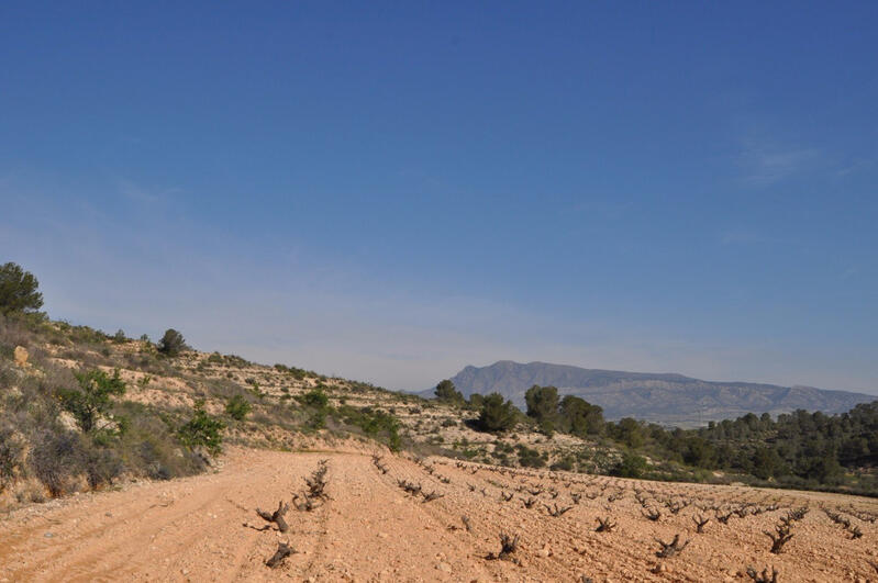 Terrain à vendre