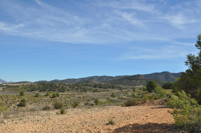 Terrain à vendre