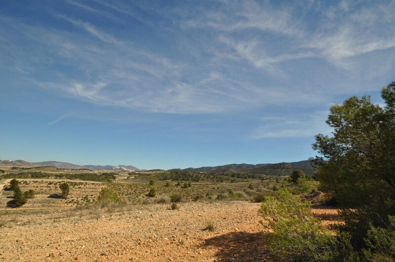 Terrain à vendre