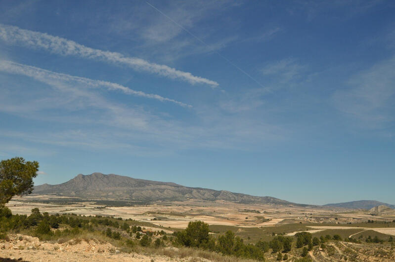 Terrain à vendre