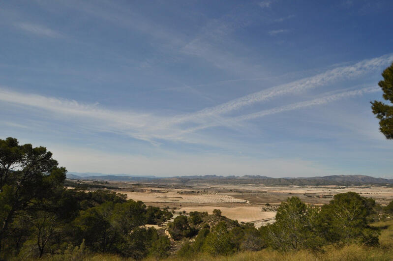 Terrain à vendre