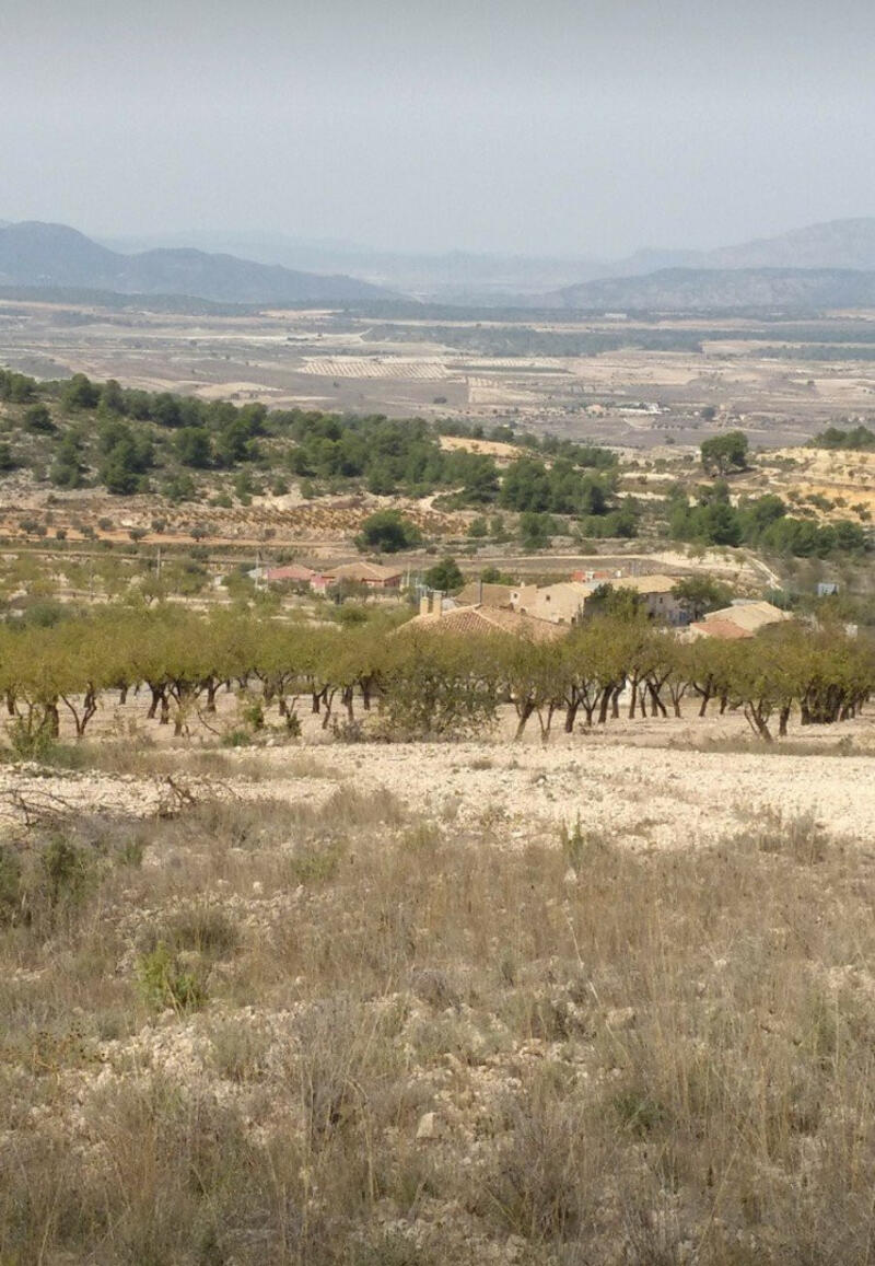 Terrain à vendre