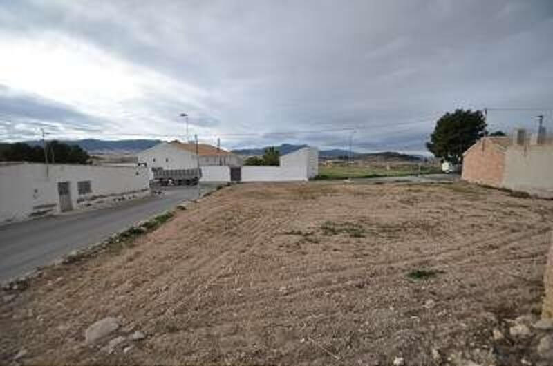 Land for sale in Los Perez (Ayuntamiento Almoradi/Torrevieja), Alicante