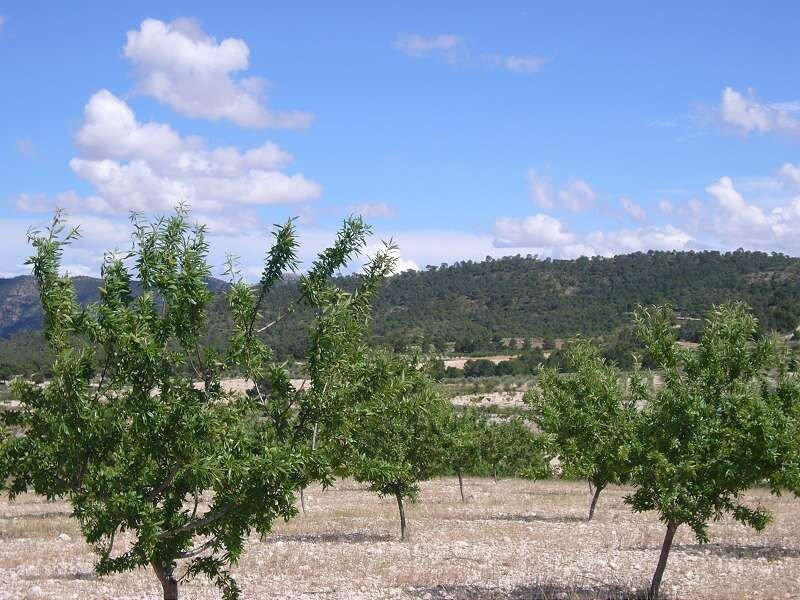 7 bedroom Country House for sale