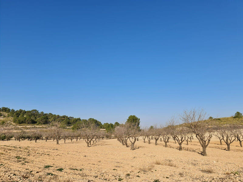 Terrenos en venta