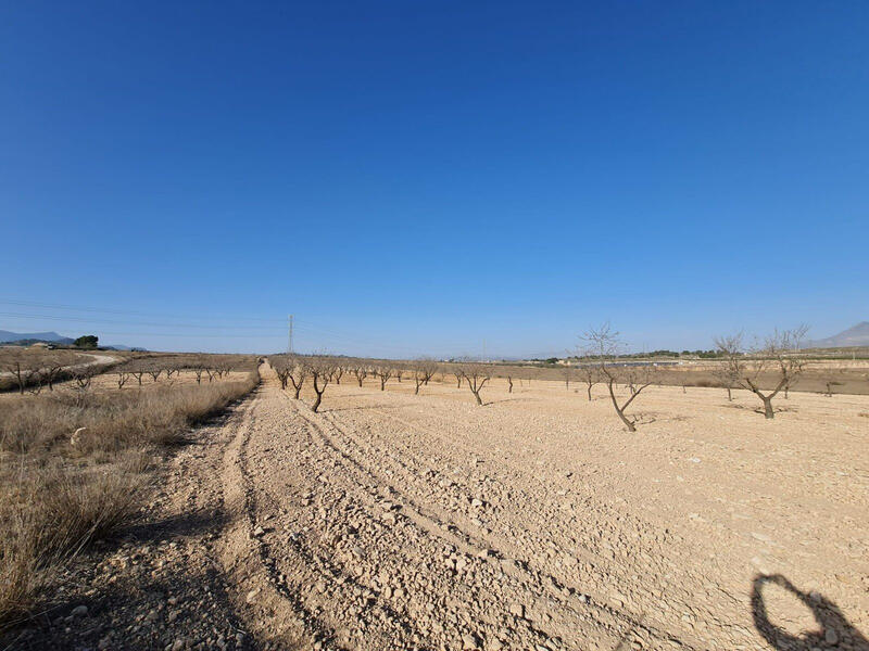 Land for sale