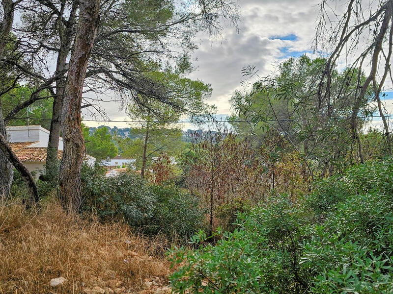 Terrain à vendre