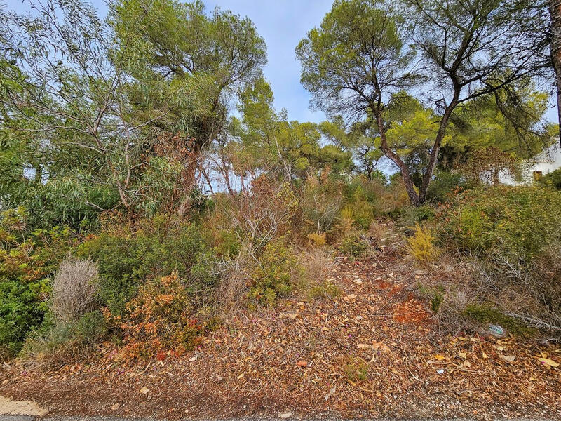 Terrain à vendre