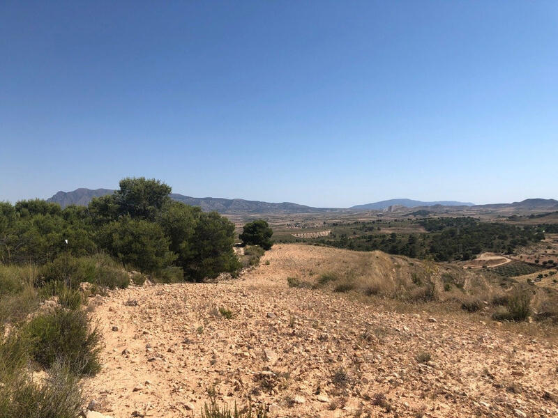 Terrenos en venta