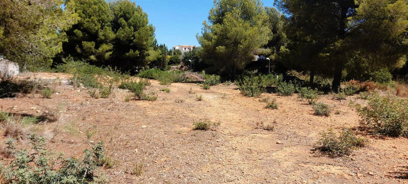 Terrenos en venta