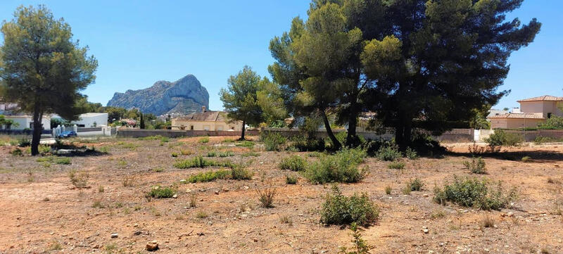 Terrenos en venta
