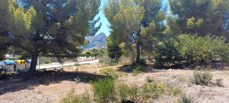 Terrenos en venta