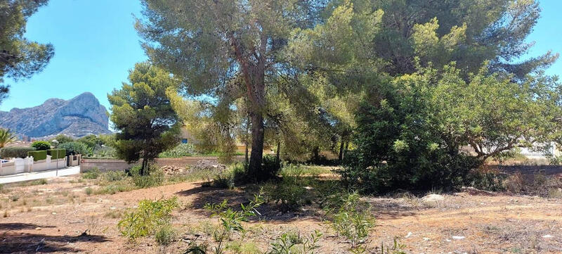 Terrenos en venta