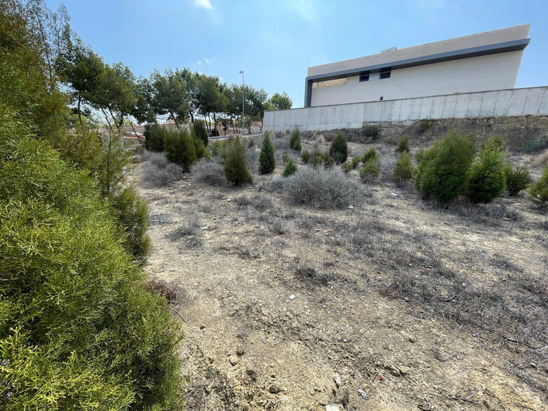 Land for sale Land for sale