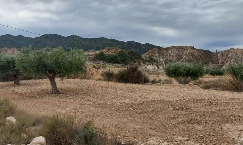 Land Te koop