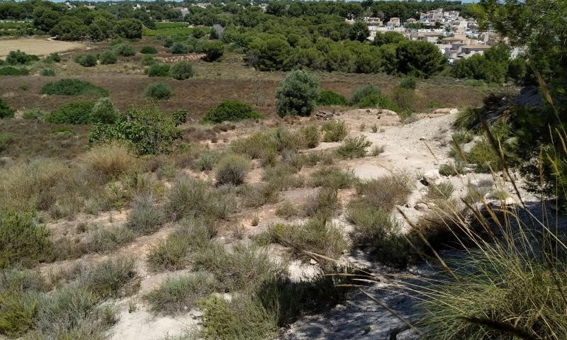 Land for sale