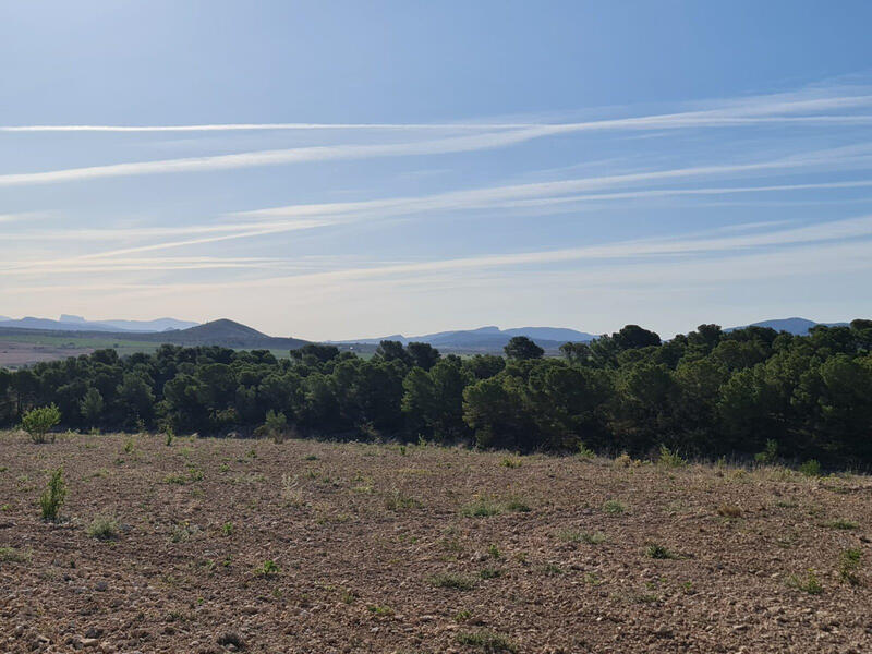 Grundstück zu verkaufen