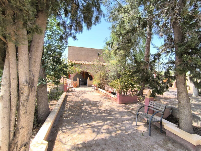 Villa à vendre dans Los Perez (Ayuntamiento Almoradi/Torrevieja), Alicante