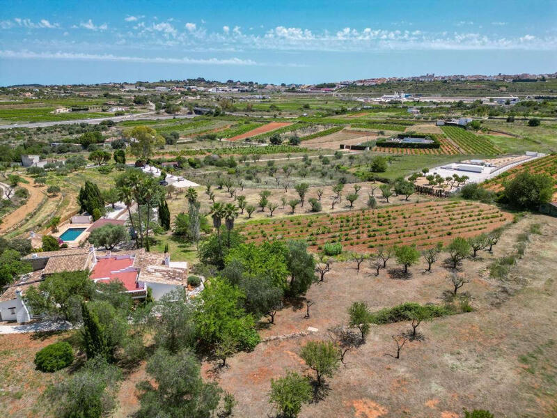 3 Cuarto Villa en venta