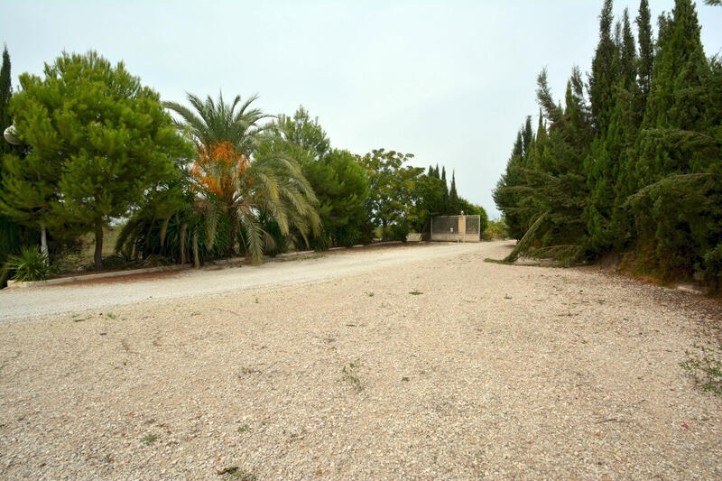 4 chambre Auberge à vendre