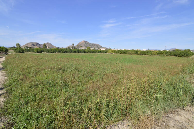 Terrenos en venta