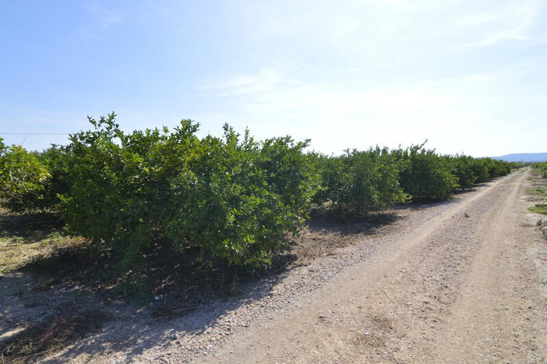 Terrenos en venta