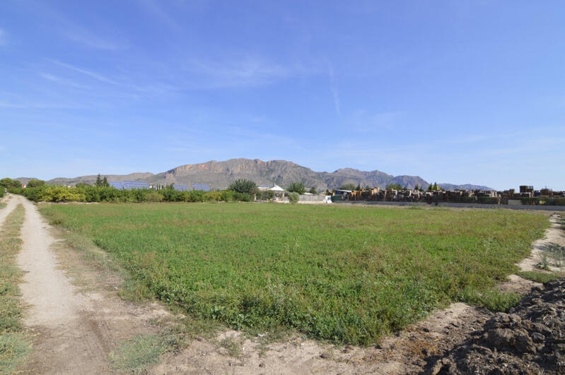 Terrenos en venta