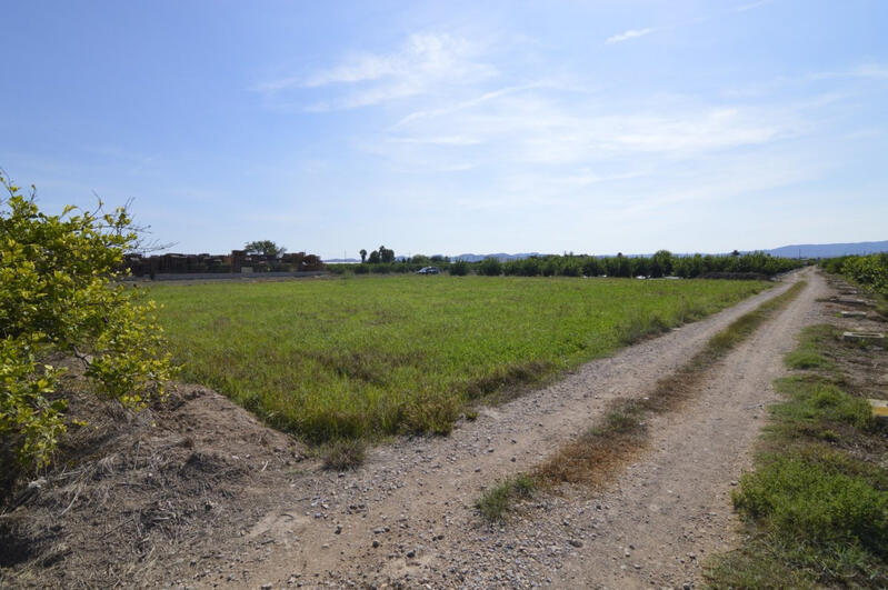 Terrenos en venta