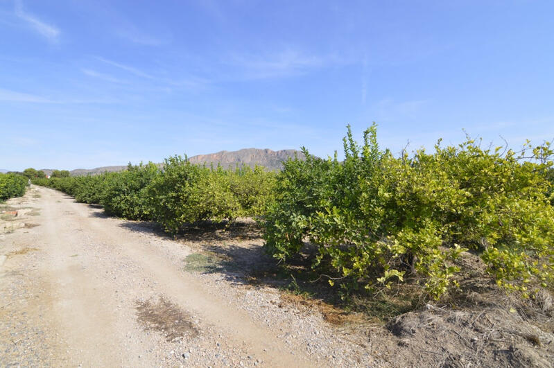 Terrenos en venta