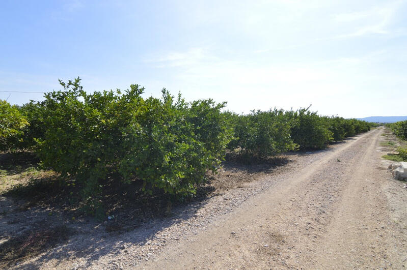 Terrenos en venta