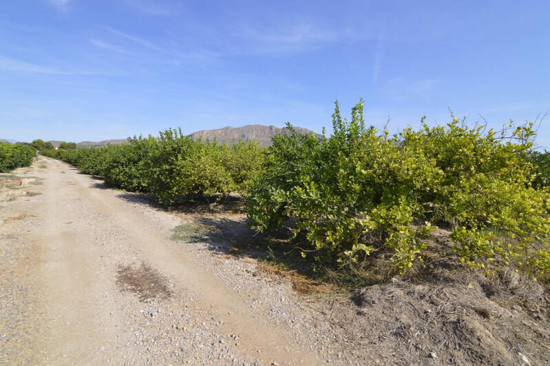 Terrenos en venta
