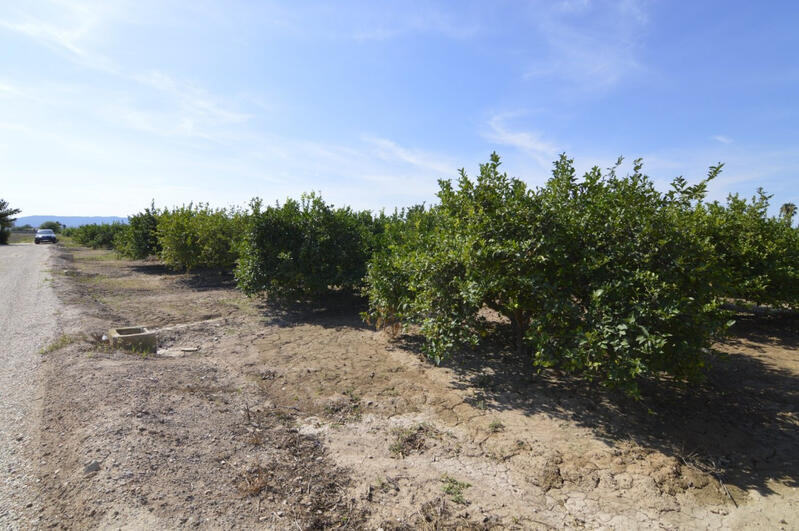 Terrenos en venta